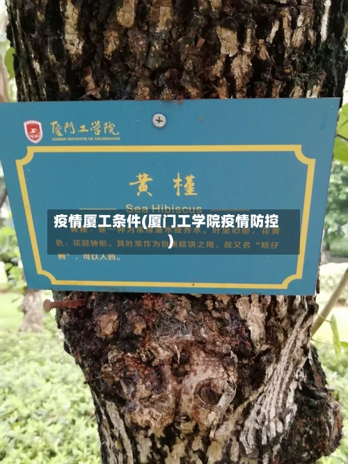 疫情厦工条件(厦门工学院疫情防控)