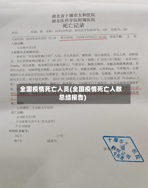 全国疫情死亡人员(全国疫情死亡人数总结报告)-第2张图片