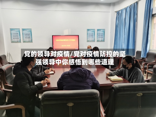 党的领导对疫情/党对疫情防控的坚强领导中你感悟到哪些道理