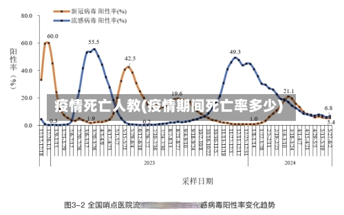 疫情死亡人教(疫情期间死亡率多少)-第3张图片