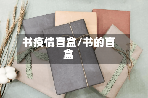书疫情盲盒/书的盲盒-第3张图片