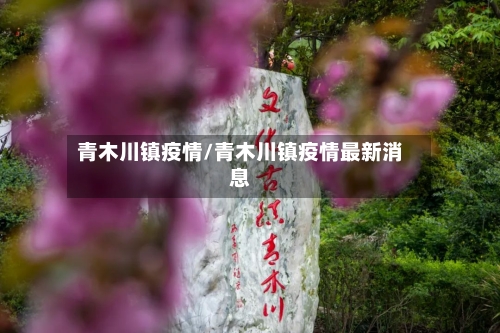 青木川镇疫情/青木川镇疫情最新消息-第2张图片