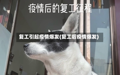复工引起疫情爆发(复工后疫情爆发)