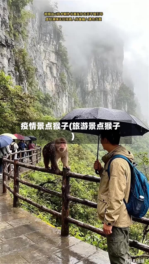 疫情景点猴子(旅游景点猴子)-第2张图片