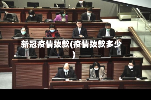新冠疫情拨款(疫情拨款多少)