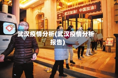 武汉疫情分析(武汉疫情分析报告)