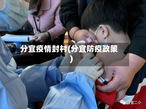 分宜疫情封村(分宜防疫政策)-第3张图片