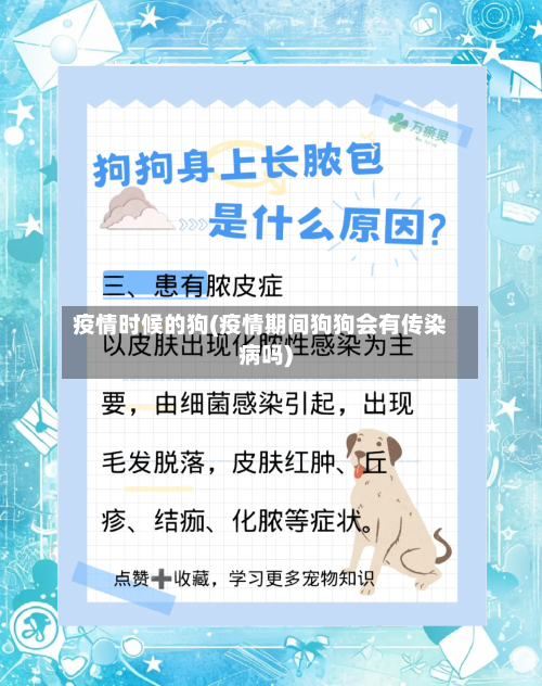 疫情时候的狗(疫情期间狗狗会有传染病吗)