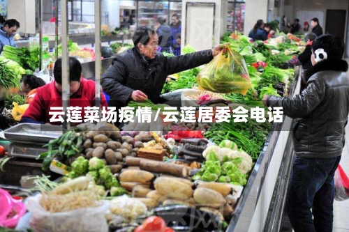 云莲菜场疫情/云莲居委会电话