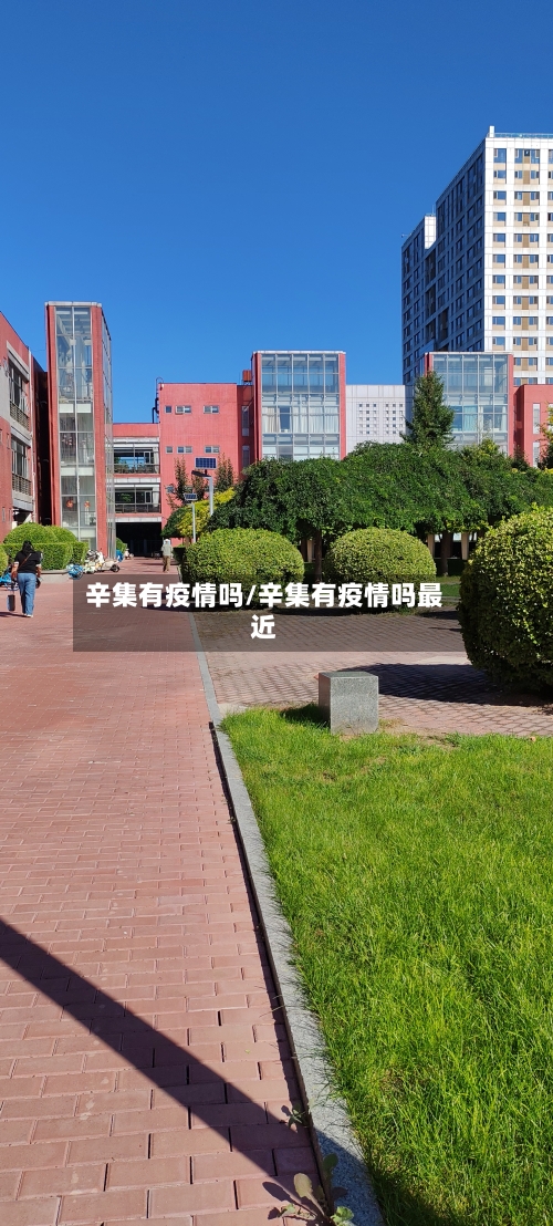 辛集有疫情吗/辛集有疫情吗最近-第2张图片