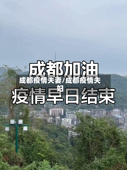 成都疫情夫妻/成都疫情夫妇-第2张图片