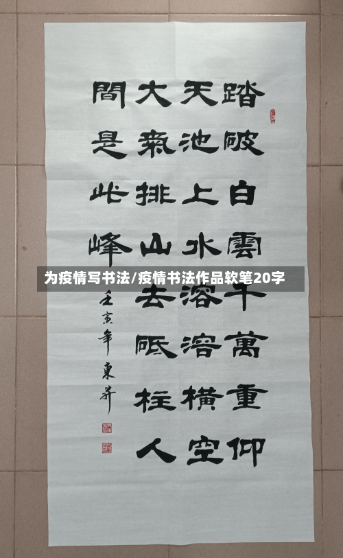 为疫情写书法/疫情书法作品软笔20字-第2张图片