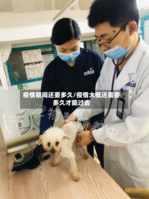 疫情期间还要多久/疫情大概还需要多久才能过去