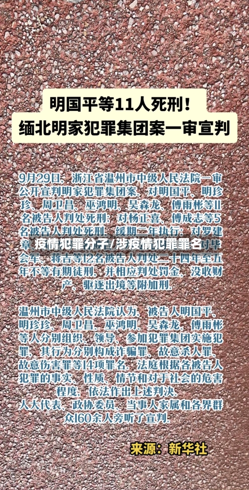 疫情犯罪分子/涉疫情犯罪罪名