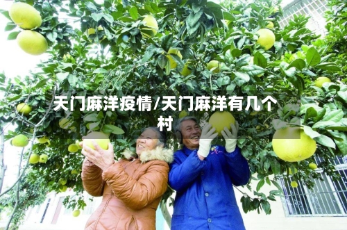 天门麻洋疫情/天门麻洋有几个村-第2张图片