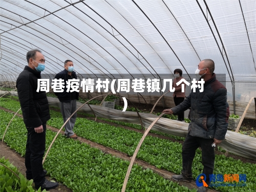 周巷疫情村(周巷镇几个村)-第2张图片