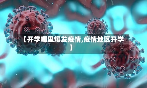 【开学哪里爆发疫情,疫情地区开学】-第3张图片