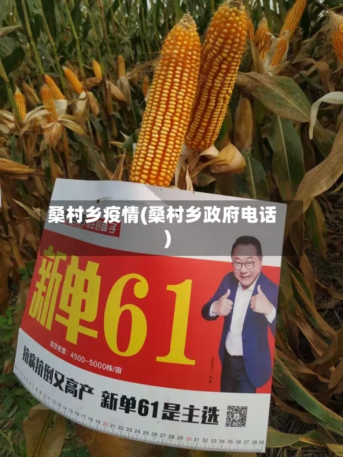 桑村乡疫情(桑村乡政府电话)-第2张图片