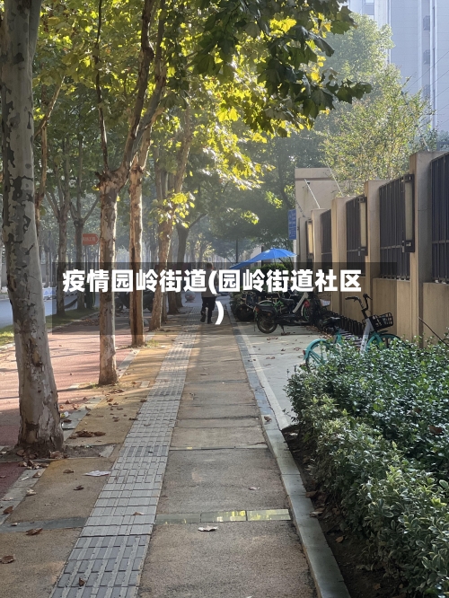 疫情园岭街道(园岭街道社区)