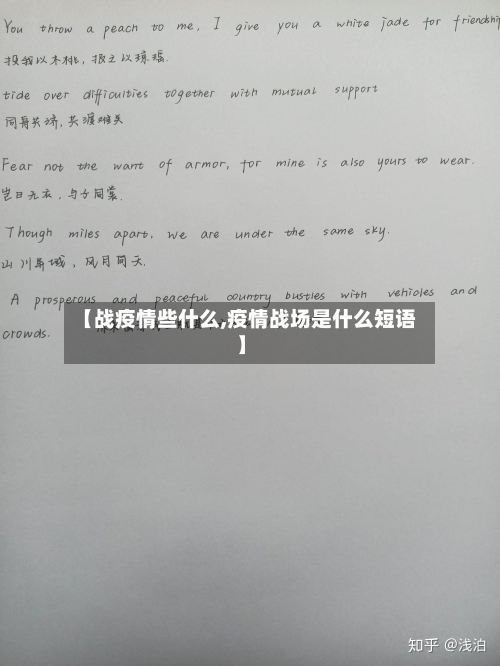 【战疫情些什么,疫情战场是什么短语】-第2张图片