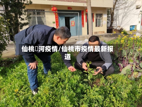 仙桃剅河疫情/仙桃市疫情最新报道