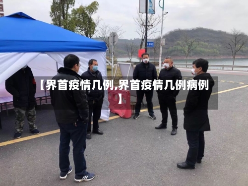 【界首疫情几例,界首疫情几例病例】