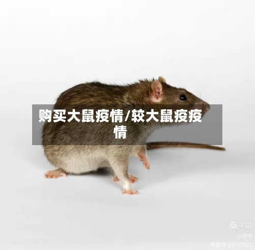 购买大鼠疫情/较大鼠疫疫情