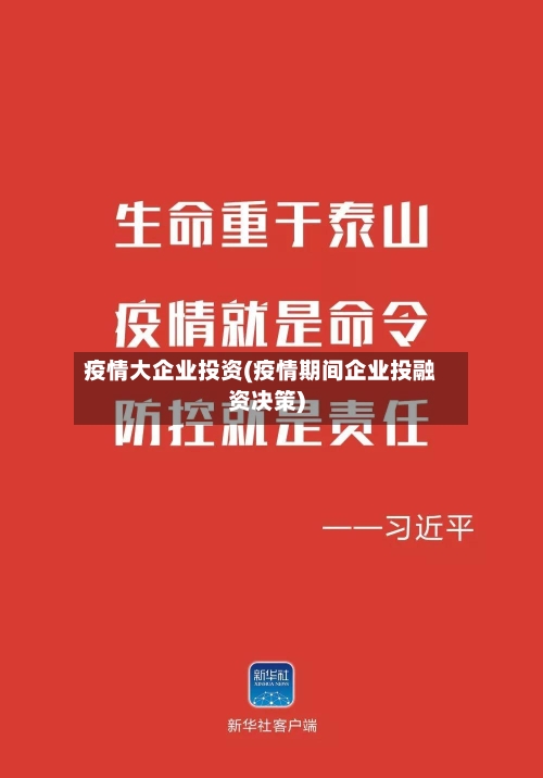 疫情大企业投资(疫情期间企业投融资决策)