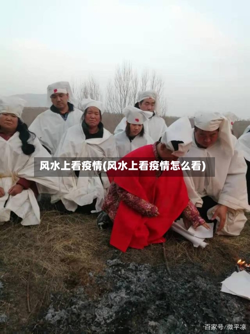 风水上看疫情(风水上看疫情怎么看)-第2张图片
